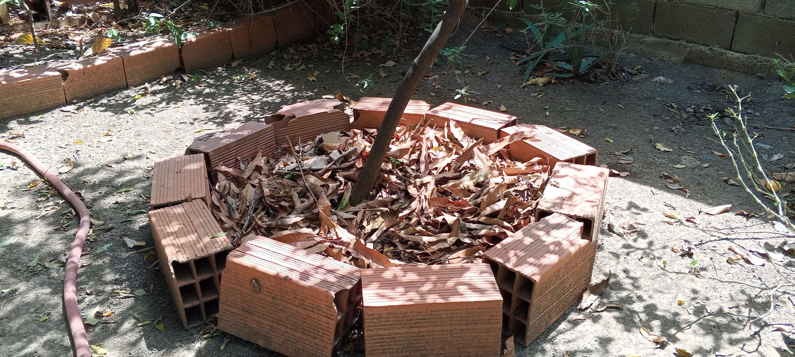 acolchado organico para arboles